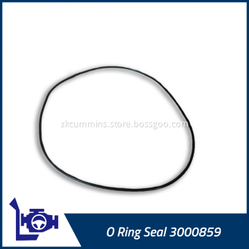3000859 Cummins O Ring Seal